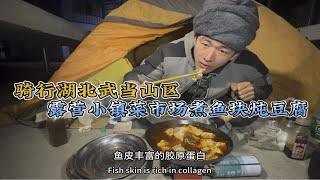 单车骑行中国，赶夜路到小镇露营菜市场，15元做一大锅鱼块炖豆腐