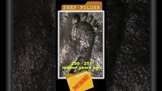 Human footprint 299 to 251 million years old #bigfoot #giant #xfiles #archeology