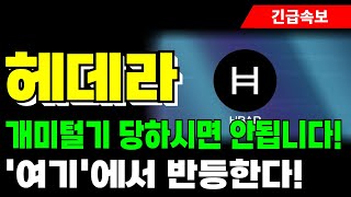 [헤데라 코인 전망] 개미털기 당하시면 안됩니다! '여기'에서 반등한다!