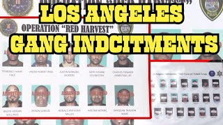 LA’s Most Dangerous Gangs: Inside the Major Indictments of 5 Los Angeles Gangs