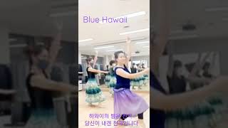 Blue hawaii 블루하와이훌라댄스/꽃취미 하와이춤/라니훌라남양주훌라@lanihawaiibreeze9746