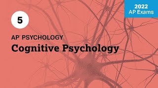 2022 Live Review 5 | AP Psychology | Cognitive Psychology