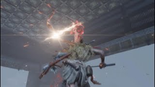 【隻狼/SEKIRO】オサレな雷返しその2