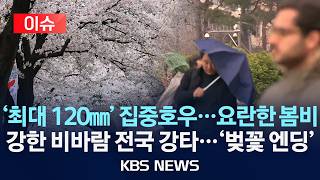 [이슈] 한여름 호우같은 봄비…남해안 최대 120mm↑/2026년 4월 9일(목)/KBS