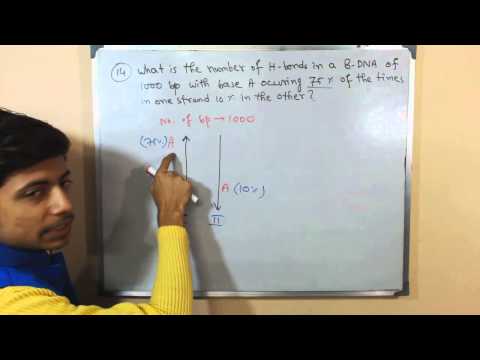 DNA base pairing and hydrogen bond in DNA problem | CSIR NET exam answers DNA base pairing and hydrogen bond in DNA problem | CSIR NET exam answers