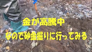 金が高騰中！！なので砂金掘りに行ってみたら・・・