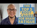 Top 5 Root Causes of Brain Fatigue