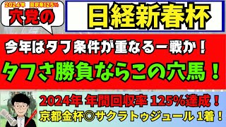 【穴党の日経新春杯2025】【京都金杯◎サクラトゥジュール推奨！】【年間回収率125％達成！】穴党が日経新春杯で狙いたい馬を紹介！