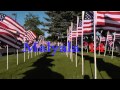 campaign ad 2014