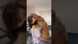 Dog Has to Be Carried Down Escalator || ViralHog