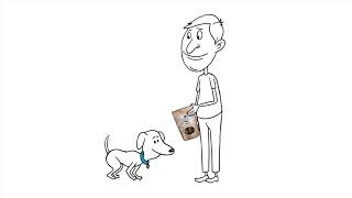 SWELL CBD Animated Commercial-- CBD Dog Treats - Our (PCR) hemp oil is  rich in  (CBD)