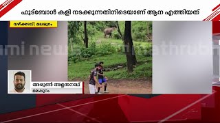 'ആ ബോളൊന്ന് പാസ് ചെയ്യൂ!!' ഫുട്ബോൾ കളിക്കിടെ കാട്ടാനയുടെ സർപ്രൈസ് എൻട്രി