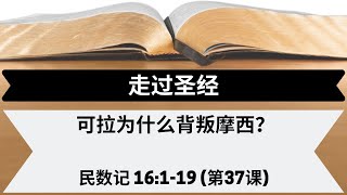 可拉为什么背叛摩西？| 民数记 16:1-19 | 第37课