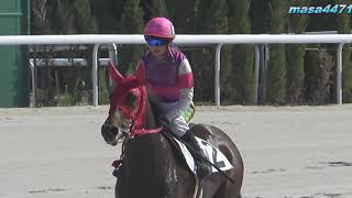 Japanese female jockey Hitomi Miyashita was 2nd in the 2R at Nagoya Racecourse on October 31, 2023.