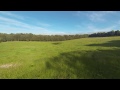 steadidrone qu4d first flight