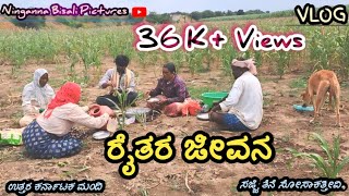 ರೈತರ ಜೀವನ 🌾🌾|@NingannaBisaliPictures5 |#vlog|#uttarakarnataka|#bagalkot|#karnataka|#farmers|#vlogs