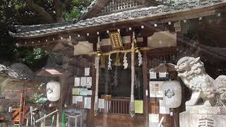 丸山神明社　参拝（愛知県）