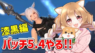 【FF14】パッチ5.4の途中から漆黒編最後まで！【FINAL FANTSY XIV】＊ネタバレ注意＊概要欄必読