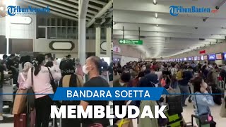 Soal Video Penumpang Membeludak di Bandara Soekarno Hatta, Ini Kata AP II