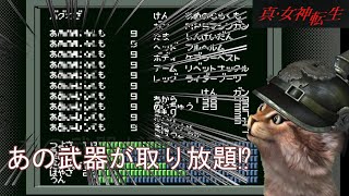 裏技試していく①『あの武器が撮り放題！』真・女神転生