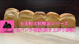 小麦粉比較検証シリーズ（食パン予告編）　焼き上がり比較解説