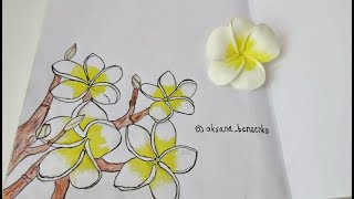 ПЛЮМЕРИЯ ИЗ ФОАМИРАНА/   РЕЗИНКА НА ПУЧОК/ PLUMERIA FROM FOAMIRAN