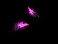 Pink Neon Butterfly Black Screen Animation l Butterfly Over Layer l Flying Butterfly Effect