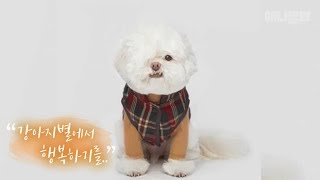 한쪽 눈으로 제가 담은 세상은요. ㅣThe World This Dog Could See Through His One Eye..