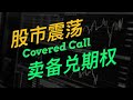 股市大幅震荡 | 卖备兑看涨期权 | Covered Call | 期权策略系列讲座