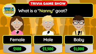 👉 Today's Best GENERAL KNOWLEDGE Daily Trivia Quiz - Unique Game Show Format | Apr. 8, 2024