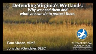 Defending Virginia’s Wetlands: Why we need them and what you can do to protect them