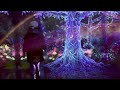 teamlab planets u0026 galaxy harajuku in a week climbing waterfall barefoot catching extinct animals