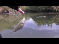 76 saitama micro fishing if you go fishing in a pond that stands in secret ...