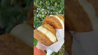 【デパ地下スイーツ】バタークリームとサクサクパイがたまらん！エシレバターの横浜高島屋限定スイーツ【ショソンエシレ】