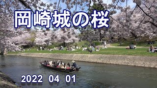 2022  04  01　岡崎公園の桜　愛知県岡崎市