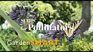 GardenSMART Tips, Seeds for Pollinators