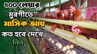 ৫০০ লেয়ার মুরগীতে লাভ কত হবে দেখে নিন।লেয়ার মুরগী লালন পালন পদ্ধতি।।BD Poultry Farm