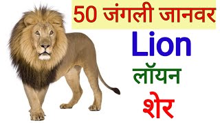 Wild animals | Wild animals name |जंगली जानवरों के नाम |animals name |जानवरों के नाम |एनिमल्स नेम