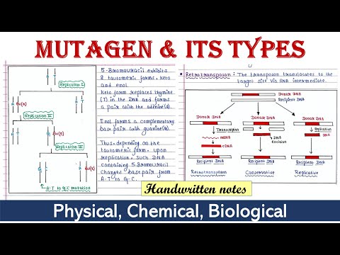 What is mutagen and its types?