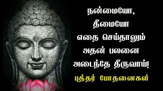 எதை செய்தாலும் அதன் பலனை அடைந்தே தீருவாய்! புத்தர் போதனைகள்! Tamil Motivational Thoughts | TMT