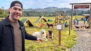 Inside Our Latest Sanctuary Projects