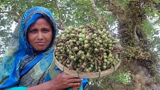 FARM FRESH Fig Recipe !! Healthy Cooking DUMUR \u0026 TAKI Mach Vorta | Cutting \u0026 Cooking Green Fig Fruit