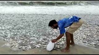 సముద్రంలో వింత గా చేపలు || beach || sea || fish || ramstammu||