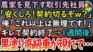 【感動する話】農家を下請けと勘違いし見下す大手取引先のエリート社員「生意気な口ききやがって。契約切るぞｗ」俺「これ以上安くは卸せません」→1週間後、ハウスの目の前に黒塗りの高級車が現れて…【泣ける話