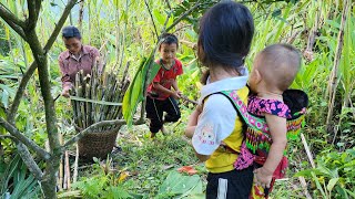 Dia family's journey up the mountain | Harvest sugarcane to sell at the market.