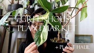 Rare plant market with the biggest Aroid collection in the Netherlands yet! +plant haul