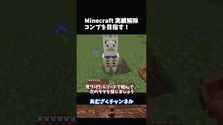 【マイクラ統合版】実績解除#26 やりたいことをやった