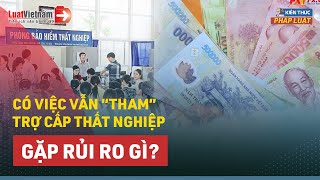 Vẫn Lấy Trợ Cấp Thất Nghiệp Dù Đã Tìm Được Việc Mới, Rủi Ro Nào Tiềm Ẩn? | LuatVietnam