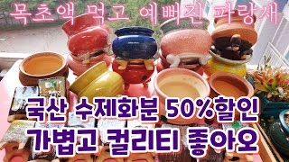 다육이 💥국산 수제화분 50%할인💥 😍목초액 먹고 예뻐진 파랑새 짚시 오팔리나 슈퍼클론 달샤벳핑크 버니 창 succulentnts succulent 多肉植物