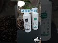 レモンの鉢植え／葉面散布／無農薬